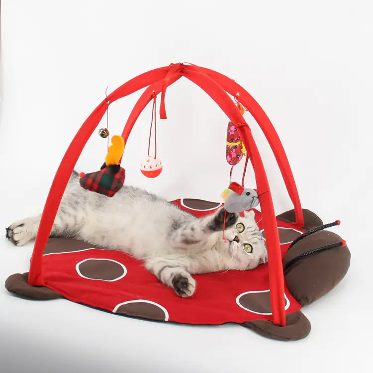 Feline Fun Play Tent
