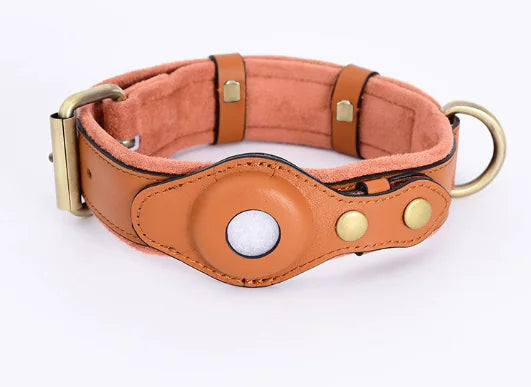Premium Leather GPS Dog Collar