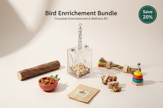 Bird Enrichment Bundle