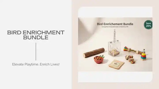 Bird Enrichment Bundle by@Outfy