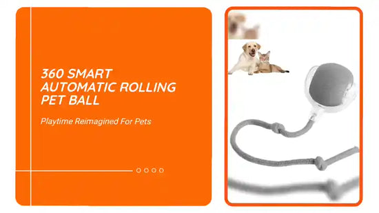 360 Smart Automatic Rolling Pet Ball by@Outfy